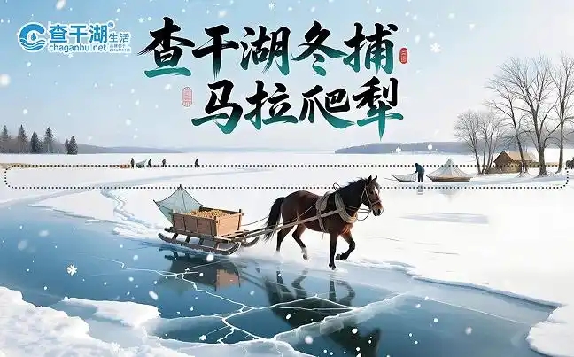 “查干湖”纸巾现身市场 质量达标引关注